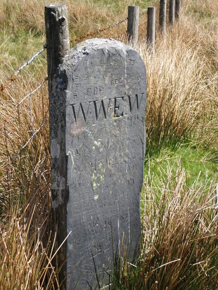 4.Dysynni Valley, Castell y Bere
W. W. E. Wynne was Member of Parliament for Merioneth for thirteen years (from 1852 ), and high sheriff of the county in 1867 ; he was also a deputy-lieutenant , a county magistrate , and constable of Harlech castle (appointed 1874 ). This slate slab is close to Yr Allt.
Keywords: May10 Sunday Dafydd