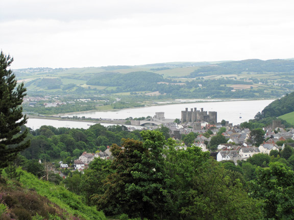 4.Mynydd y Dref (Conwy Mountain) & Foel Lys
The view of the River Conwy and Conwy Castle from half way up Conwy Mountain
Keywords: June10 Sunday Cleaton