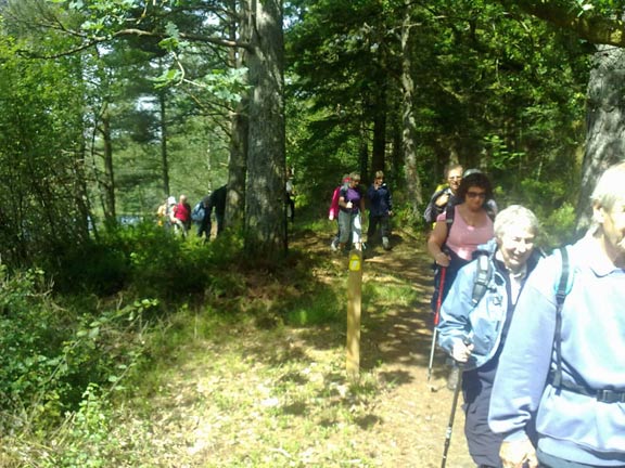 2.Llwybrau Llanrwst Footpaths 12/8/10
A beautiful afternoon in the forest. Photo: Meirion Owen.
Keywords: Aug10 Thursday Meirion Owen Eryl Lobley