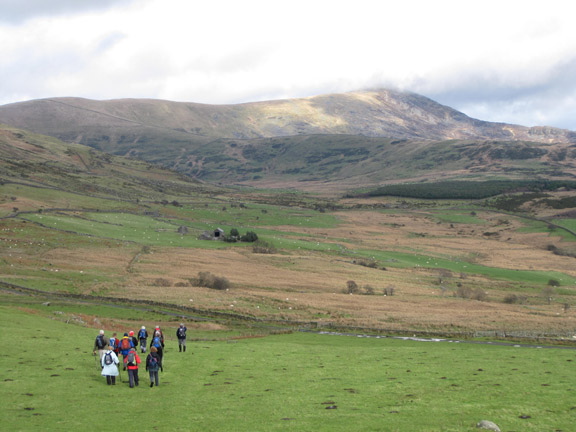 2.Mawddach Estuary linear walk
Well into the walk. Lunch not too far off. Diffwys in the background.
Keywords: Nov10 Sunday Dafydd H Jones