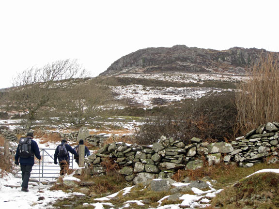 2.Moel y Gest
26/12/10. The summit ahead but a good way to go yet. Not much snow was visible on this south side but it was there slowing down progress.
Keywords: Dec10 Sunday Tecwyn Williams