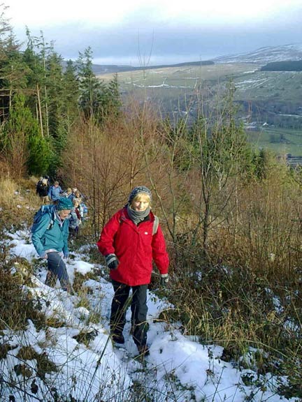 1.Antur Waunfawr mince pie walk
9th Dec 2010. A circular walk from Waunfawr, up to Moel Tryfan and Moel Smytho. Photo: Meirion Owen.
Keywords: Dec10 Thursday Pam Foster
