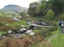 Mawddach-walk-4.jpg