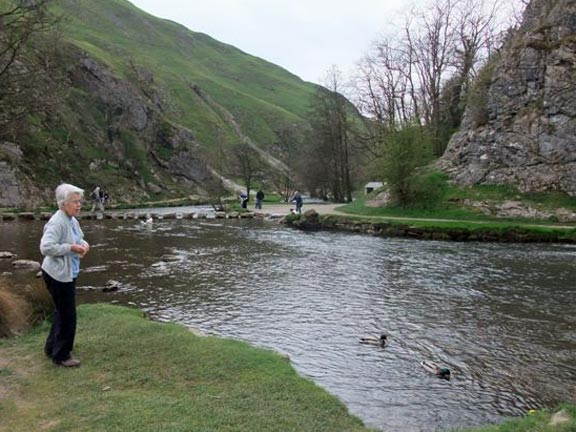 20.Dovedale Holiday
Someone is intent in getting crispy duck on the evening's menu. Photo: Cleaton Williams.
Keywords: April11 Holiday Ian Spencer