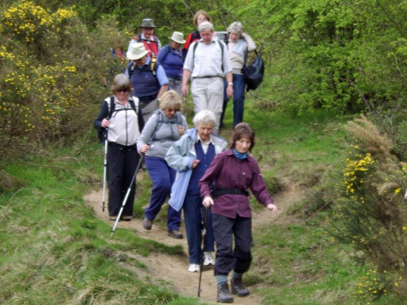 12.Dovedale Holiday
The Monday walk through Lathkill Dale gets off to a strong start. Photo: Meirion Owen.
Keywords: April11 Holiday Ian Spencer