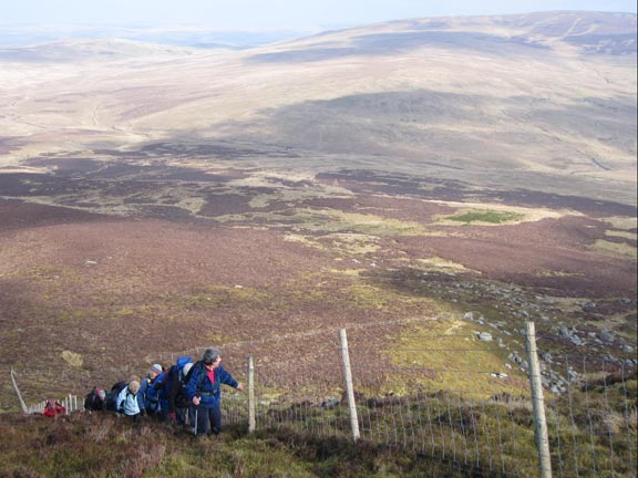 4.Arenig Fach
6th Mar 2011. About half way up the side. The fence providing a welcome handhold. Carnedd Llechwedd-llyfn in the background.
Keywords: March11 Sunday Tecwyn Williams