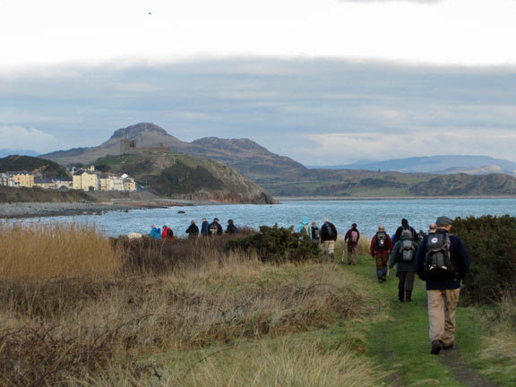 6.Criccieth Snowdrop Surprise.
10th Feb 2011. Almost the end of the walk, with Cricieth and Criccieth Castle ahead, and Moel y Gest in the background.
Keywords: Feb11 Thursday Mary Williams