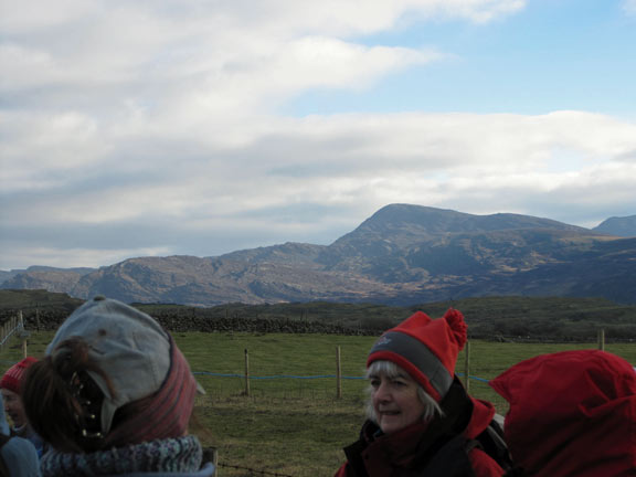 2.Harlech Circular walk.
27th Jan 2011. A brief stop on the road just south of Foel Senigl with Rhinog Fawr in the background.
Keywords: Jan11 Thursday Nick White