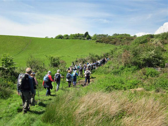 4.Cylchdaith Llanbedrog & Mynytho Circular
19th May 2011. On to Mynytho. Photo: Tecwyn Williams.
Keywords: May11 Thursday Rhian Roberts Mary Evans