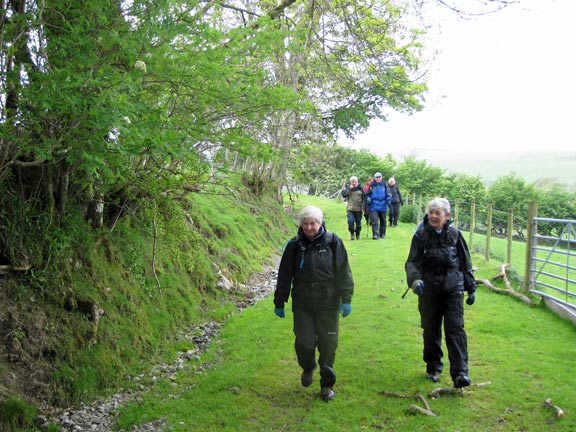 6.Foel Goch from Llangwm
15th May 2011. Not far from journey's end as we reach Bron Llan.
Keywords: May11 Sunday Gareth Hughes