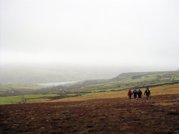 2.Mynydd Cilgwyn
6th Feb 2011. On the way down having enjoyed gale force winds and heavy cold wet mist.
Keywords: Feb11 Sunday Tecwyn Williams