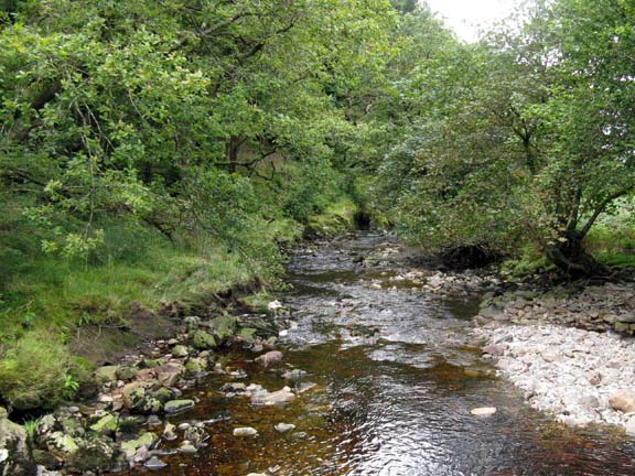4.Cwm Cynfal
A lovely view looking downstream from the bridge. Photo: Nick White.
Keywords: Aug11 Thursday Nick Ann White