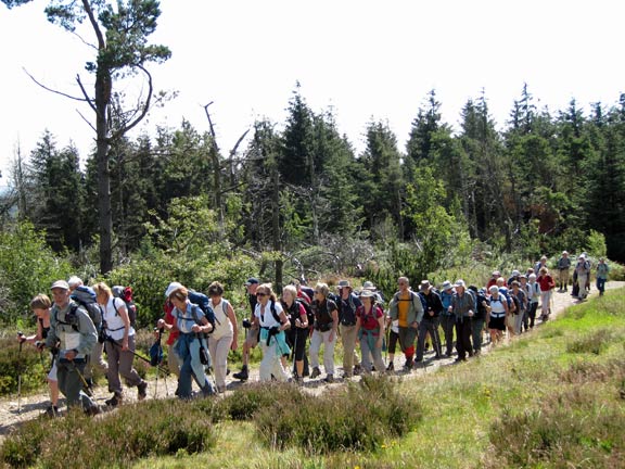3.Moel Famau.
24/7/11. All of us emerging from the forest after climbing the first (steep) section from the car park.
Keywords: July11 Sunday Noel Davey