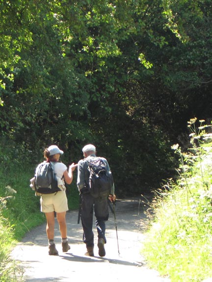 7.Moel Famau.
24/7/11. Peter is taken away for treatment by Judith who was later quoted as saying; "He was excellent for an 80 year old". "Well done Peter!"; ed.
Keywords: July11 Sunday Noel Davey