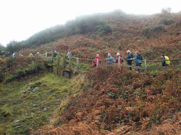 1.Porth Meudwy,Pen y Cil, Mynydd Gwyddel & Mynydd Mawr.
3rd Nov 2011.Some of the 28 walkers at the start, having ascended to the coastal path from Porth Meudwy. Photo: Dafydd Williams.
Keywords: Nov11 Thursday Rhian Roberts Mary Evans