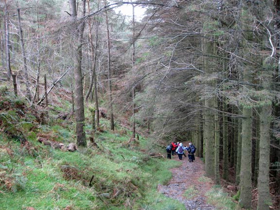 5.Penamnen Horseshoe.
30th Oct 2011. Now out of the wind with a very steep descent ahead we enter the forest near Pen y Benar.
Keywords: Oct11 Sunday Ian Spencer