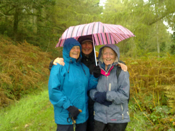 2.Forest trail Coed Cae Fali
6th October 2011. Photo: Meirion Owen.
Keywords: Oct11 Thursday Meirion Owen