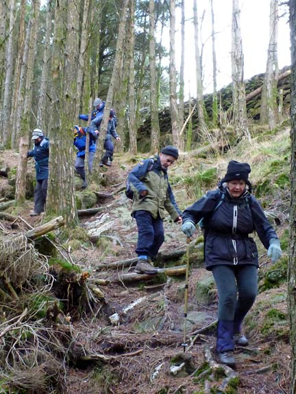 4.Beddgelert.
22/01/12. Coming down from Bryn Du through Aberglaslyn Woods to Pont Aberglaslyn.
Keywords: Jan12 Sunday Kath Mair