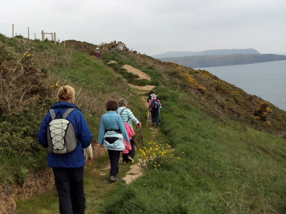 2.Llyn Coastal Path
3/5/2012. Photo: Judith Thomas.
Keywords: May12 Thursday Judith Thomas