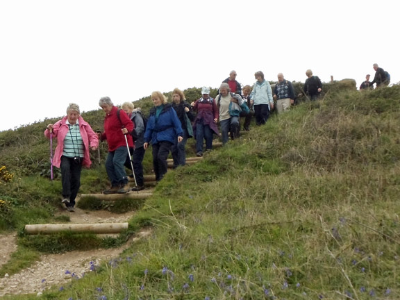 4.Llyn Coastal Path
3/5/2012. Photo: Judith Thomas.
Keywords: May12 Thursday Judith Thomas