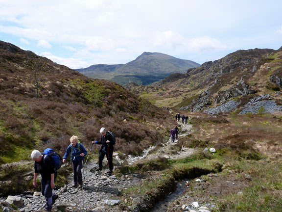 2.Creigiau Gleision
13/5/2012. Nearing the top of Nant Geuallt with Carnedd Moel Siabod? in the background.
Keywords: May12 Sunday Hugh Evans