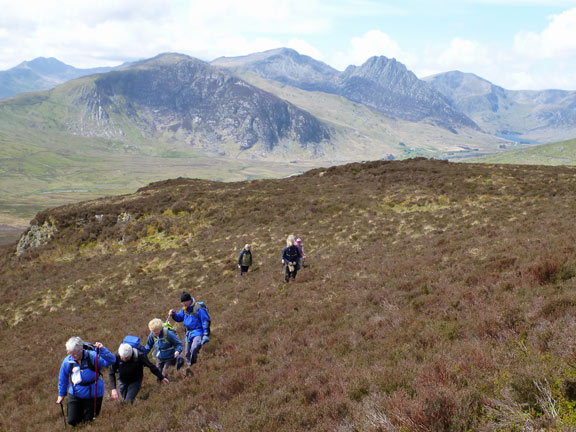 3.Creigiau Gleision
13/5/2012. At 1920ft we are approaching the summit of Craiglwyn with Gallt yr Ogof, Tryfan, Glyder Fach and Y Garn in the background. Fantastic.
Keywords: May12 Sunday Hugh Evans