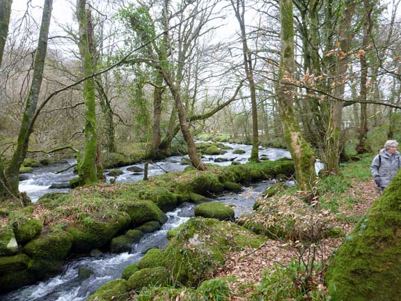 4.AGM Criccieth Walk
8/3/12. The Afon Dwyfor just upstream from Trefan Farm. Unfortunately the snowdrop display had finished.
Keywords: Mar12 Thursday Ian Spencer