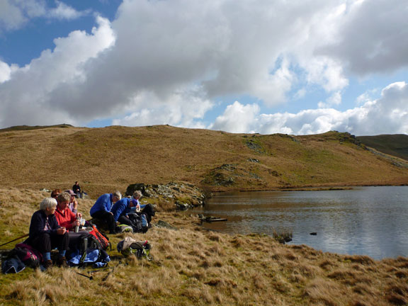 3.Mynydd Maentwrog, Gold Mine.
18/3/12. Llyn Craig-y-Tân for our first tea break. There were several wild geese somewhat unhappy at our arrival.
Keywords: Mar12 Sunday Tecwyn Williams
