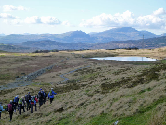 7.Mynydd Maentwrog, Gold Mine.
18/3/12. Our descent through the disused Braich Ddu Quarries close to our final destination.
Keywords: Mar12 Sunday Tecwyn Williams