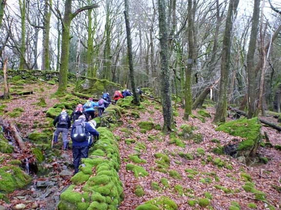 2.Moel Ddu.
Up through Aberglaslyn Woods to Oerddwr-Uchaf. Once the home of the poet William Francis Hughes.
Keywords: Jan12 Sunday Tecwyn Williams