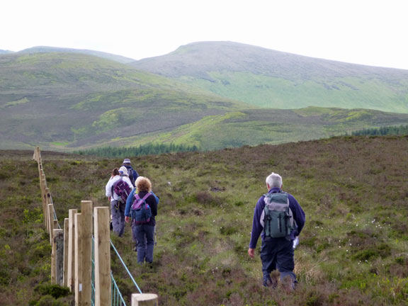 5.Cylchdaith Moel Fferna Circular.
10/6/12. 300 metres from the southern most point of our walk, where we will turn north west and back to our starting point.
Keywords: June12 Sunday Dafydd Williams