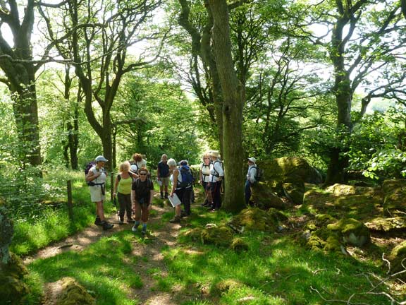 2.Llangybi, Bronmiod, Pen y Gaer, three hills and a ffynnon.
27/5/12. A brief break as we walk through woodland just above the well (spring).
Keywords: May12 Sunday Catrin Williams Noel Davey