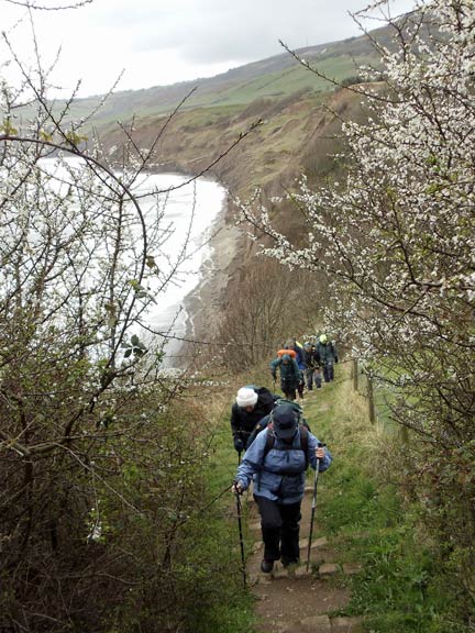 11.North York Moors
14-19/4/2012. 1st day. Photo: Judith Thomas.
Keywords: April12 Whitby Ian Spencer