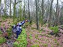 Moel-Ddu-010.jpg