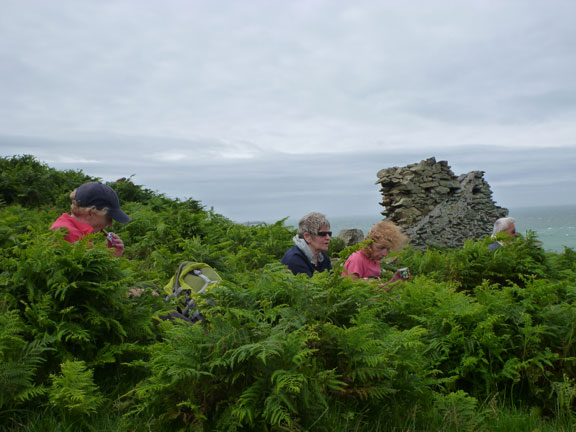 3.Anglesey Coastal Path Cemaes to Church Bay
22/07/12. More nesting. Members settle down for tea and to keep out of the wind.
Keywords: Jul12 Sunday Ian Spencer