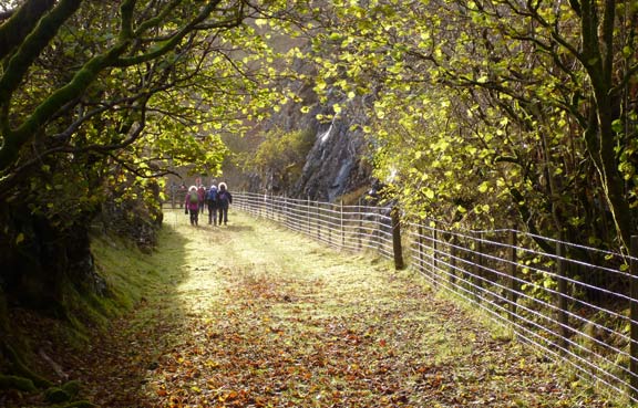 5.Cwm Prysor, Bwlch y Bi, Viaduct
11/11/12. Beautiful autumn colours displayed against the setting sun as the group makes its way along the disused railtrack bed.
Keywords: Nov12 Sunday Tecwyn Williams
