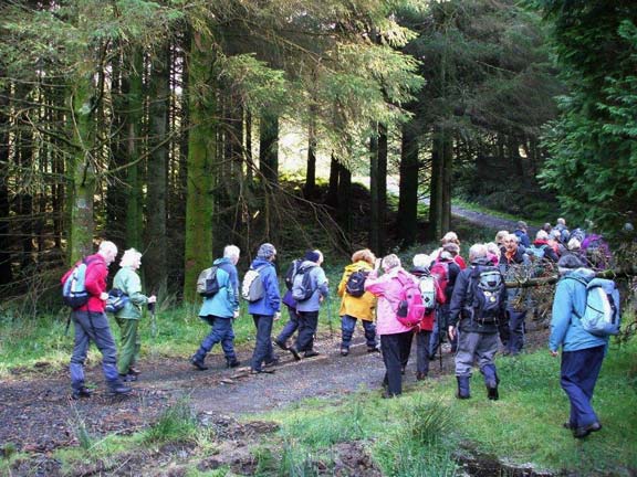 2.Around Llandecwyn
18/10/12. Into the damp forest. Photo: Dafydd H Williams.
Keywords: Oct12 Thursday Alan Edwards Beryl Davies