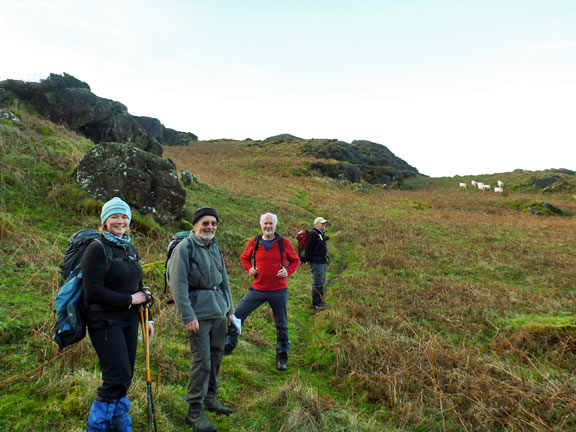 2.Moel y Gest
23/12/12. Approaching the summit of Moel y Gest from the north side.
Keywords: Dec12 Sunday Tecwyn Williams
