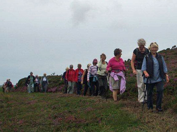 3.Mynytho to Plas Nanhoron 
23/08/12. Approaching the end of the walk through the colourful heather. Photo: Dafydd H Williams.
Keywords: Aug12 Thursday Miriam Heald