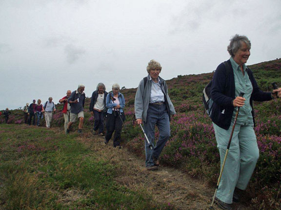 4.Mynytho to Plas Nanhoron 
23/08/12. The party is by now well spread out. Photo: Dafydd H Williams.
Keywords: Aug12 Thursday Miriam Heald