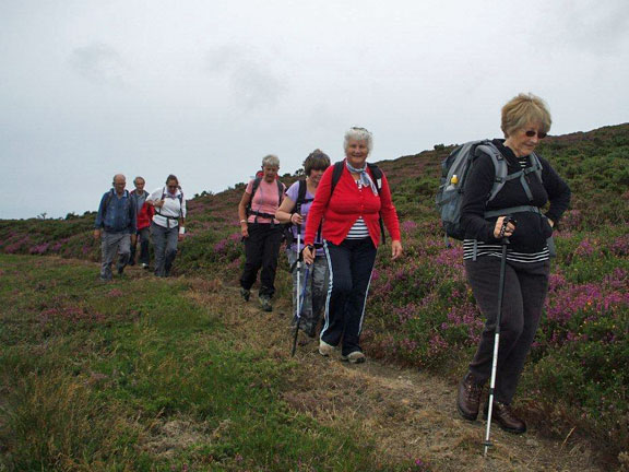 5.Mynytho to Plas Nanhoron 
23/08/12. And finally those bringing up the rear. Photo: Dafydd H Williams.
Keywords: Aug12 Thursday Miriam Heald