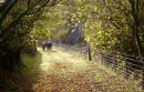 Filename=Cwm-Prysor-022.jpg
Filesize=69KiB
Dimensions=576x369
Date added=Nov 14, 2012 Cwm-Prysor-022.jpg