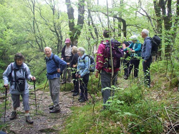 1.Coed y Brenin Waterfall Walk
15/5/14. Deep in the heart of Coed y Brenin. Photo: Dafydd Williams.
Keywords: May14 Thursday Judith Thomas