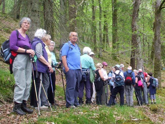 4.Coed y Brenin Waterfall Walk
15/5/14.  A discussion going on at the front whilst those at the back wait patiently. Photo: Dafydd Williams.
Keywords: May14 Thursday Judith Thomas