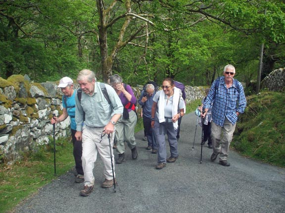 6..Coed y Brenin Waterfall Walk
15/5/14.  The sting in the tail. Photo: Dafydd Williams.
Keywords: May14 Thursday Judith Thomas