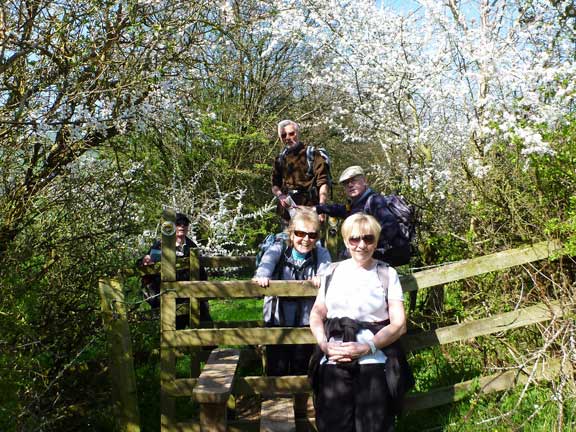 19.Church Stretton April 2014
On the Bishop's Castle walk and posing amongst the Blackthorn. Photo: Hugh Evans.
Keywords: Apr14 holiday Ian Spencer