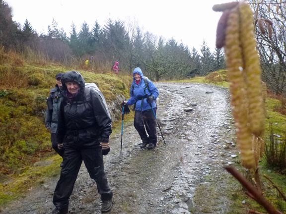 6.Wybrnant Ty Mawr
2/3/14. Just half a mile to go on the final descent. The catkin shot. 
Keywords: Mar14 Sunday Nick White
