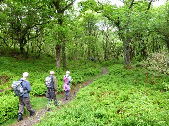 2.Llanberis Circular
25/5/14. Close to Fferam Fachwen. Doing well.
Keywords: May14 Sunday Kath Spencer