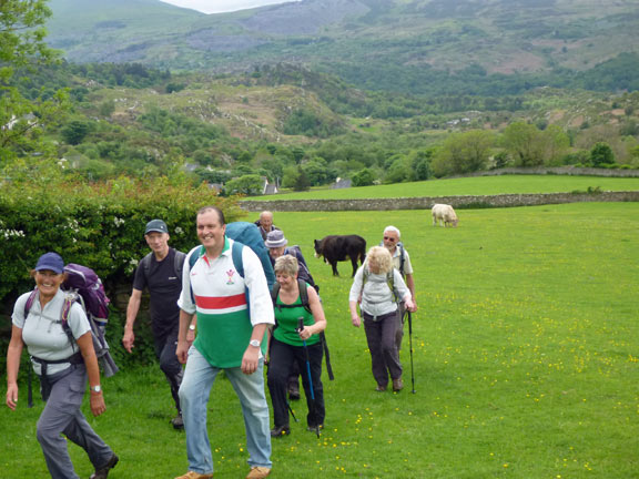 4.Llanberis Circular
25/5/14. The group speeds up. Maybe something to do with the bull in the background.
Keywords: May14 Sunday Kath Spencer