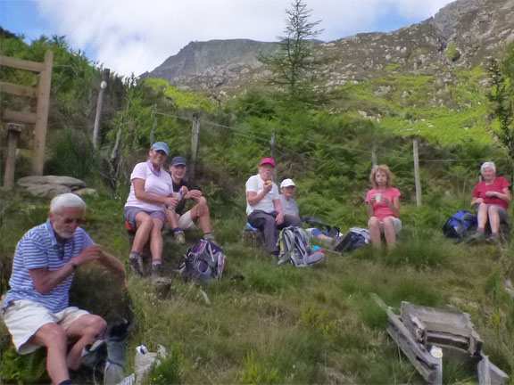 2.Moel Siabod
22/6/14. Coffee break time as we leave the forest.
Keywords: Jun14 Sunday Roy Milnes